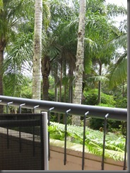 View from our balcony (1)