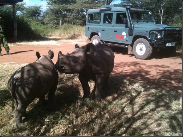 LR with Rhino land rover supports TUSK gaycarboys (2)