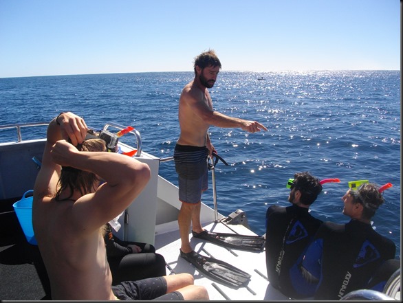 Crew member Todd instructs novice divers in the fine arts of meeting a really big fish