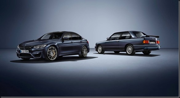 BMW M3 30 Years M3 GayCarBoys (4)