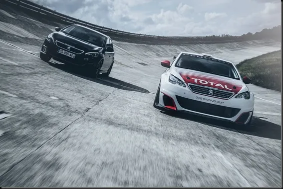 The Peugeot 308 Racing Cup: Bred to Race. Who wants a go in this one?