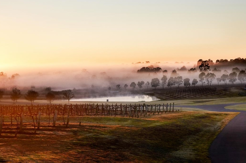 hunter-valley-nsw