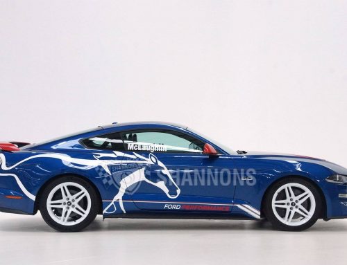 Shannons Auctions McLaughlin Mustang for Camp Quality