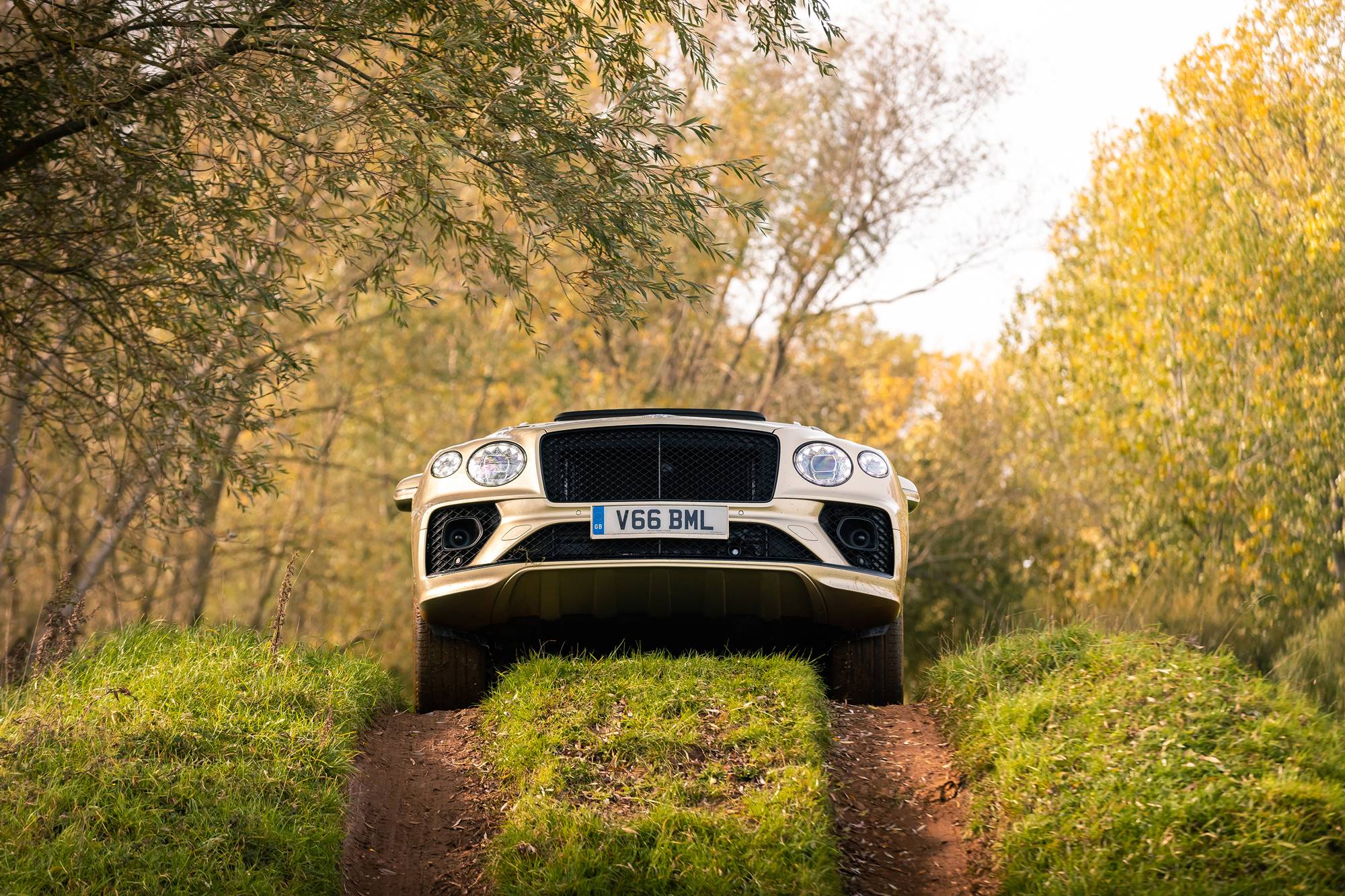 bentley-Bentayga-4×4-Award (8)