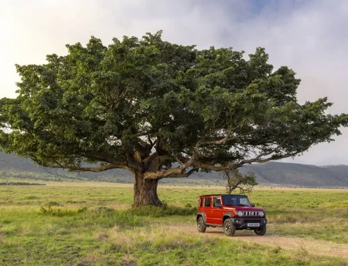 Suzuki Australia Lifts Jimny XL Sales Hold