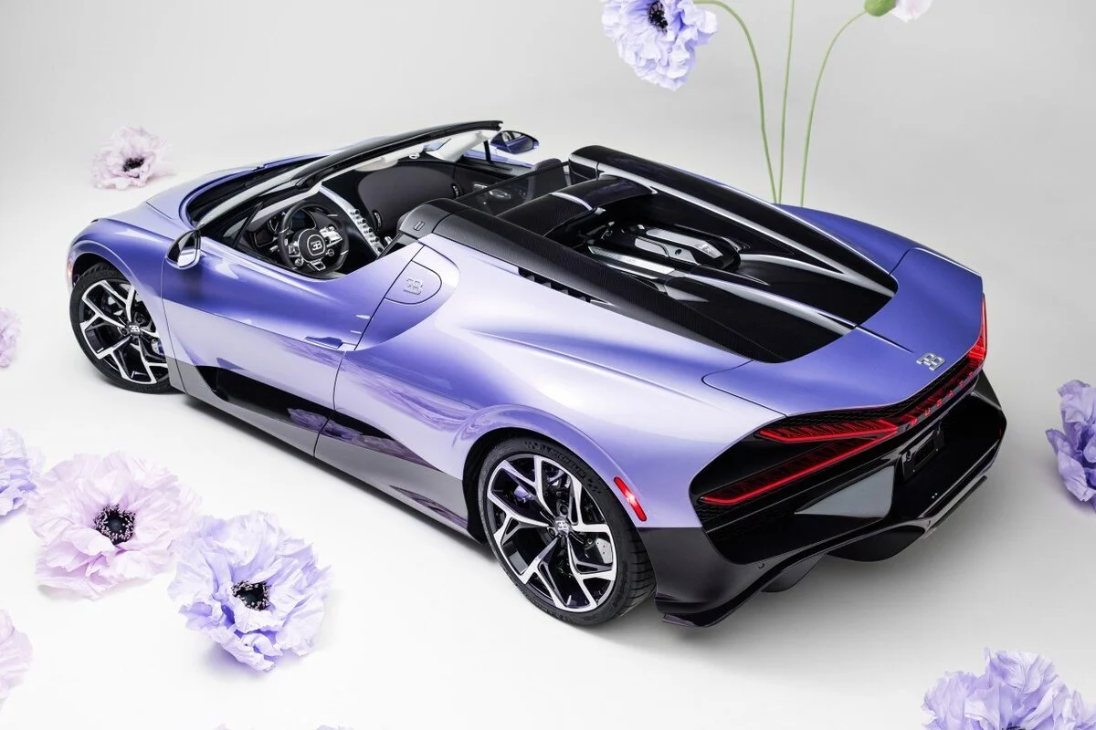 Bugatti W16 Mistral Caroline overhead rear three quarter flowers