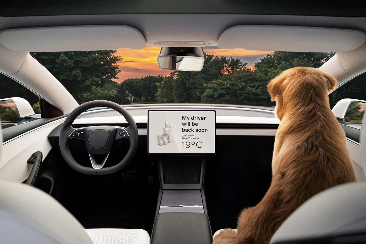 Dog in the front seat of a Tesla Model 3 with Pet Mode showing 19 degrees on the screen