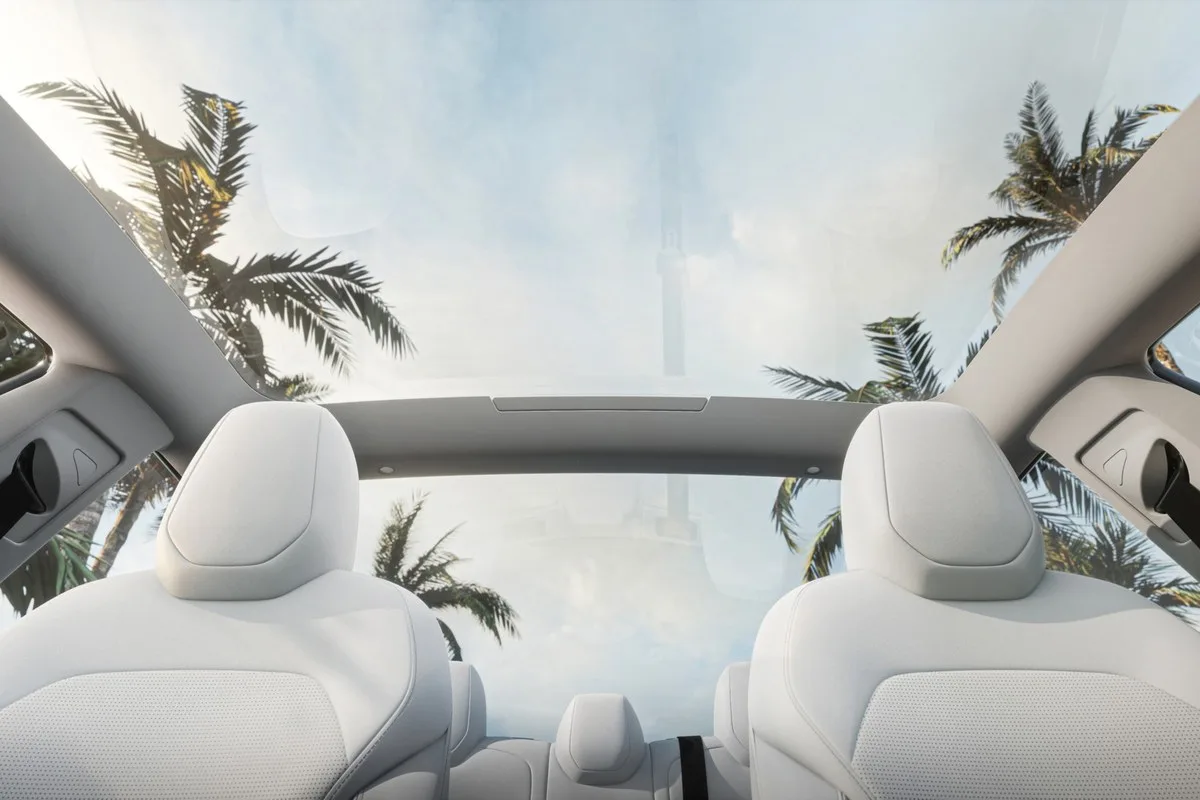 Looking up through the Tesla Model 3 panoramic glass roof at palm trees